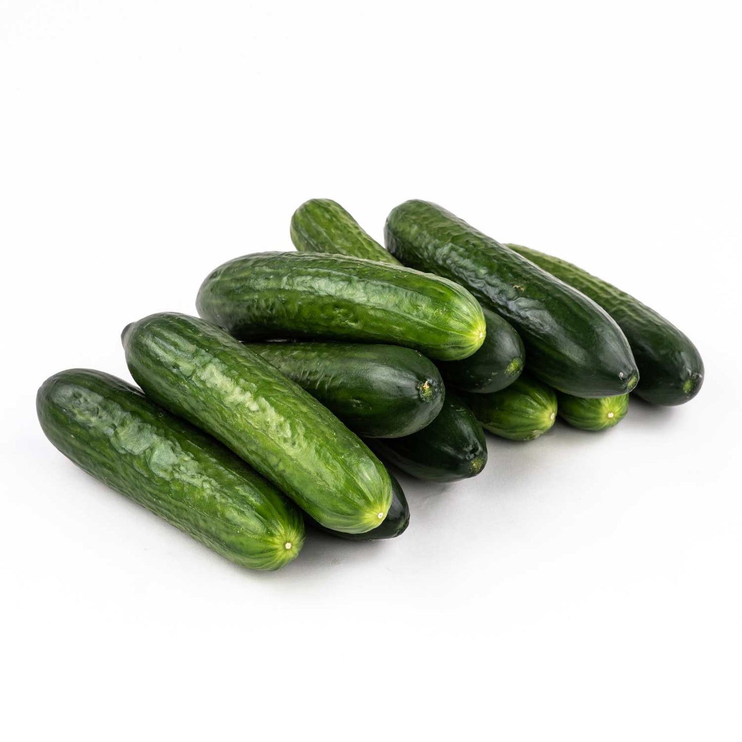 c/o Lebanese Cucumbers