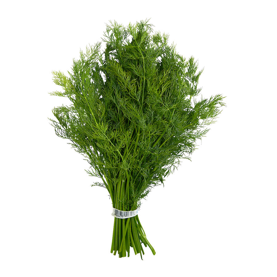 Bouquet d'aneth frais
