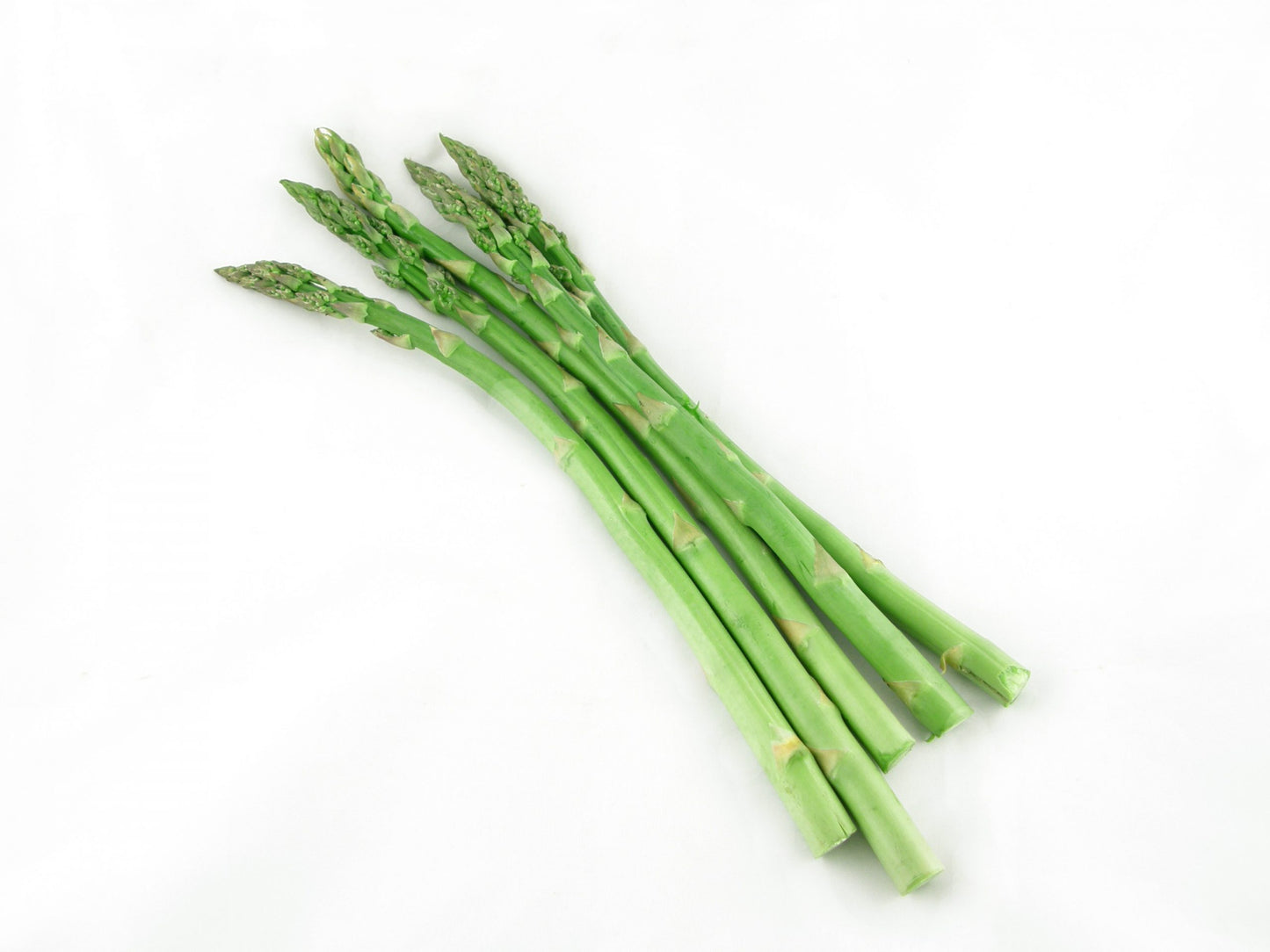 c/o Asparagus Bunch