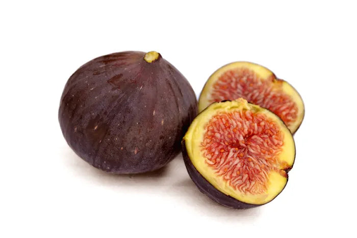 c/o Black Figs - Greece