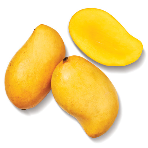 c/o Ataulfo Mangoes