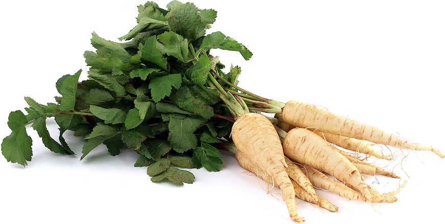 c/o Parsnips
