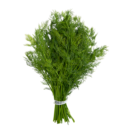 Bouquet d'aneth frais