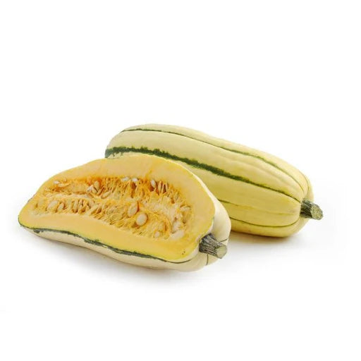 c/o Delicata Squash