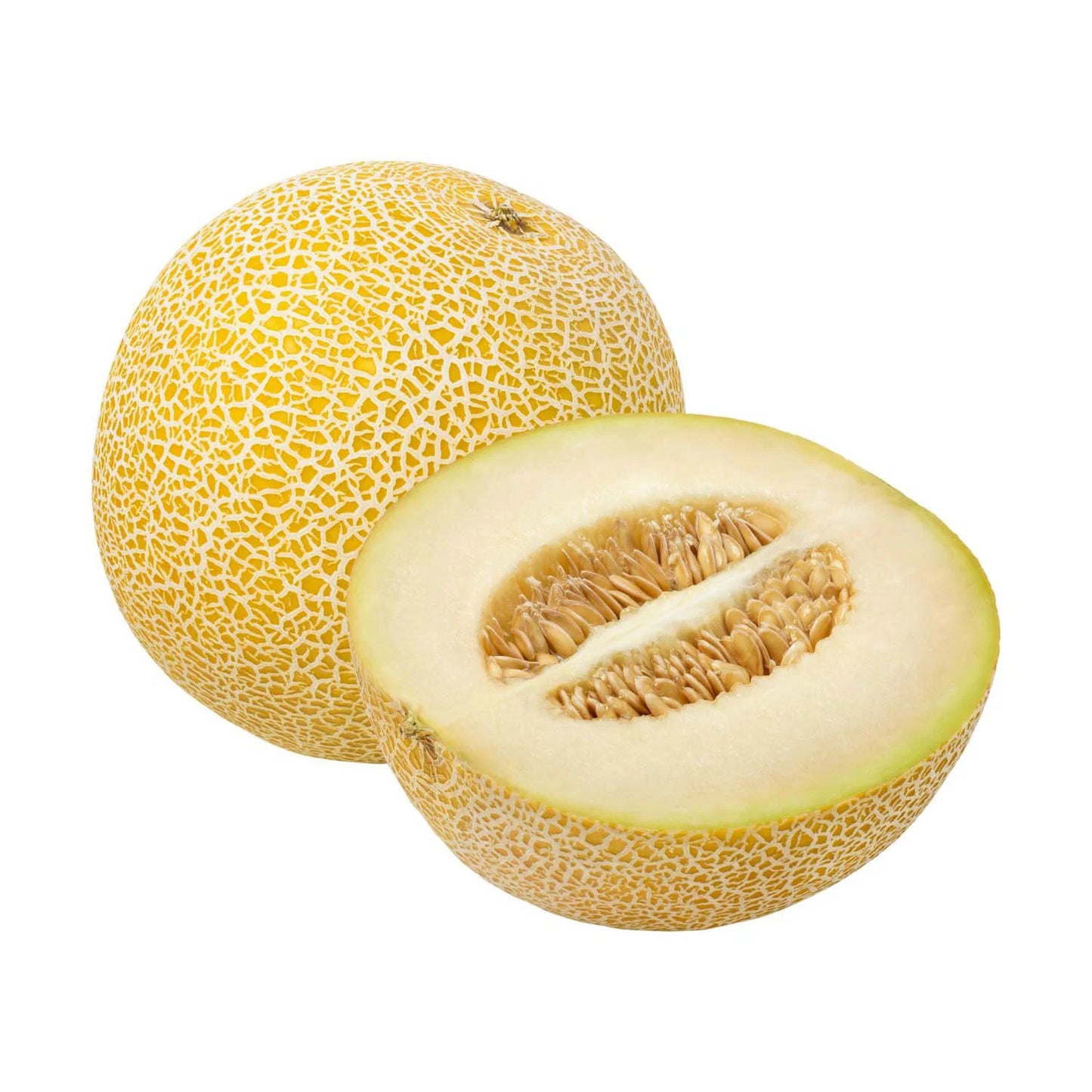c/o Galia Melon