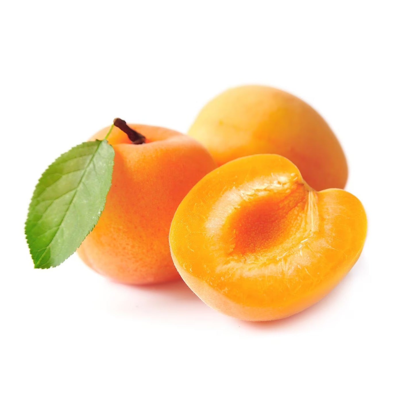 c/o Apricots
