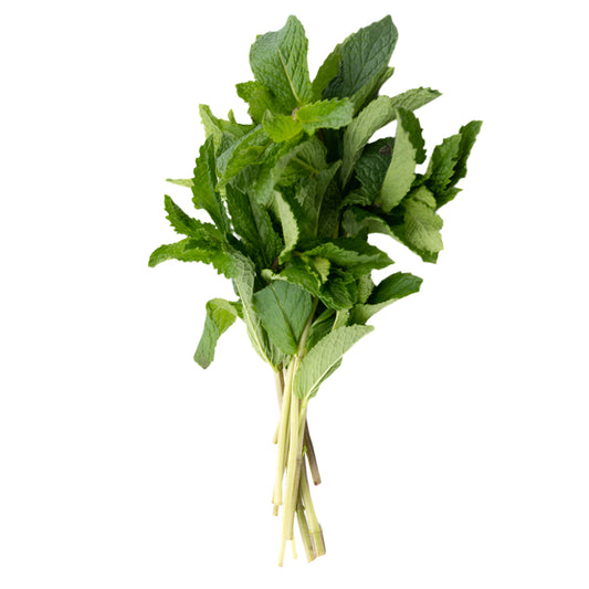 Bouquet de menthe fraîche marocaine