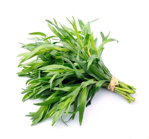 Bouquet d'estragon frais