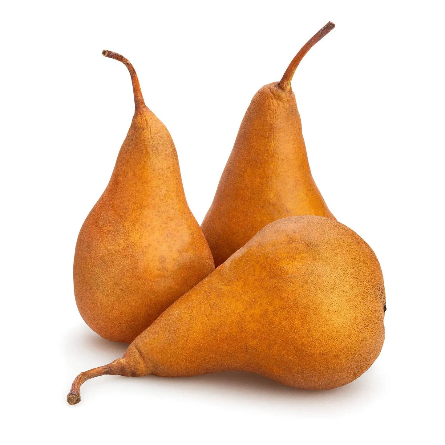 c/o Bosc Pears
