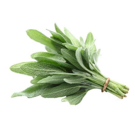 Bouquet de sauge fraîche
