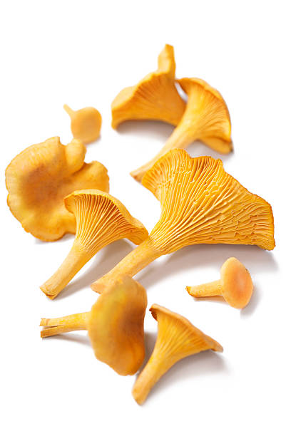 Chanterelles