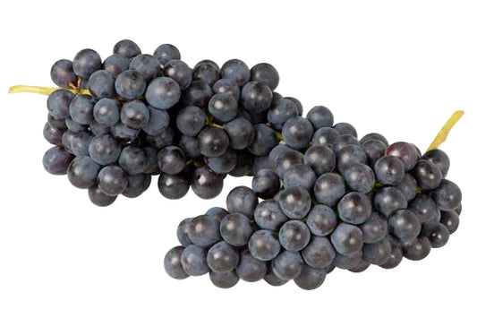 c/o Blue Grapes