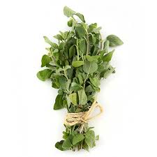 Bouquet d'origan frais