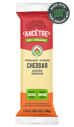 L'Ancêtre - Fromage Cheddar mi-fort