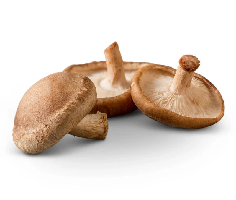 Champignons shiitake biologiques
