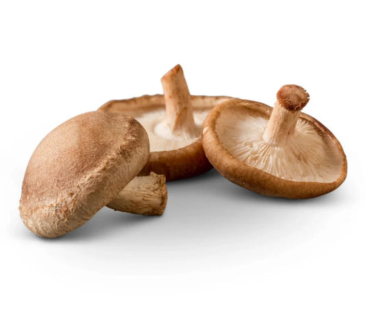 Champignons shiitake biologiques